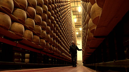 A la Recherche du Terroir Perdu